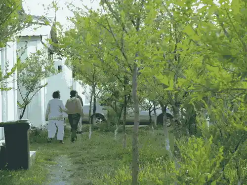Տնակներ Սևանի ափին